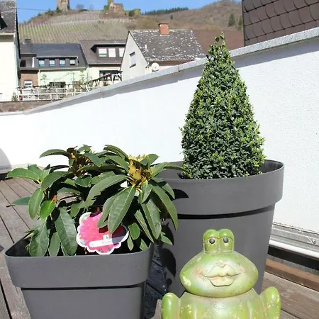 Haus Legler *